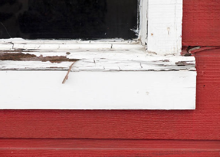 painted window frame with termite damage